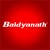 Baidyanath Group logo