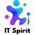 IT SPIRIT logo