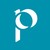 Paramount Wires & Cables logo
