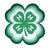National 4-H Council logo