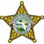 Lake County Sheriff's Office logo
