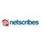 Netscribes India (Pvt) Limited logo