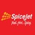 Spice Jet Airlines Limited logo