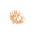 Western Province Caterers logo