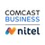 Nitel Logo