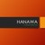 Hanawa Group logo