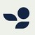 Bilberry Technologies logo