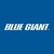 Blue Giant Equipment Corporation logo