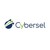 Cybersel Group logo