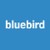 Bluebird logo