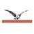 Eagles Pride Hatchery (Pty) Ltd logo