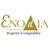 ENODIA - Expert-comptable digital, diapason de votre performance logo