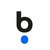 Berocam logo