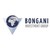 Bongani Investment Group logo