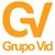 Grupo Vid logo