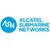ASN logo