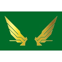 Valkyrie Operating, LLC. logo