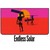 Endless Solar LLC. logo