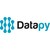 Datapy logo