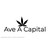 Ave A Capital logo