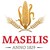 Maselis NV logo