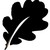 Black Oak Asset Management logo
