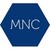Michael Nestrud Consulting logo