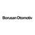 Logo de Borusan Otomotiv