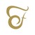 The Fedeli Group logo