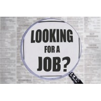 Jobs for Freshers &  Experienced logo