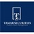 Tamar Securities, LLC logo
