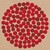 Logo de Donatos Pizza