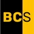 Ben Consulting Services logo