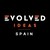 Evolved Ideas Spain (formerly Secret Source) logo