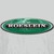 Roeslein Alternative Energy logo