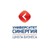 Школа Бизнеса Синергия logo