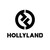 Logo de Hollyland Technology