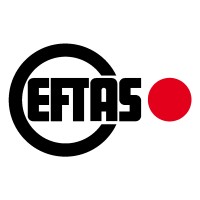 EFTAS Fernerkundung Technologietransfer GmbH logo
