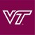 Logo de Virginia Tech College of Science
