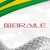 Logo de Braile Biomédica