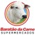Baratão da Carne logo