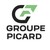 Peugeot - Groupe Picard logo