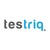Logo de Testriq QA Lab