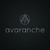 Avaranche logo