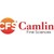 Camlin Fine Sciences (CFS) logo