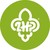 The Polish Scouting and Guiding Association (ZHP) logo