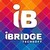 Logo d'iBridge Techsoft