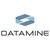 Datamine logo