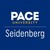 Logo de Pace University - Seidenberg School of Computer Science and Information Systems