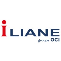 Iliane Informatique logo